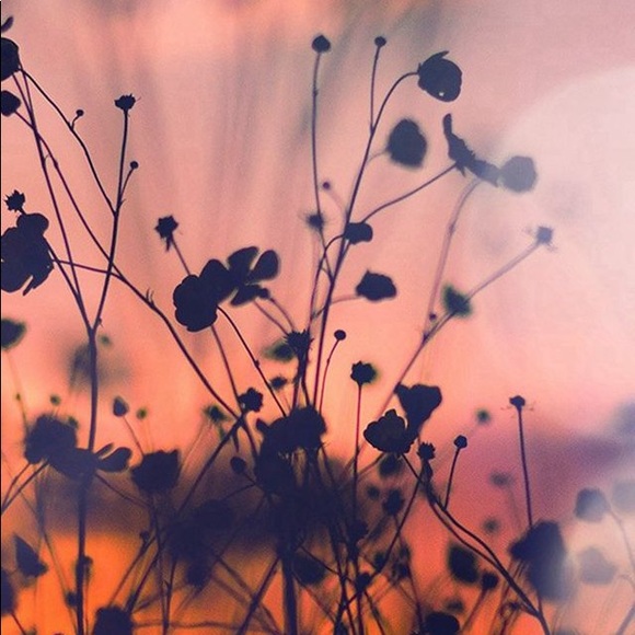 Meet your Posher, Sade - Picture 1 of 1